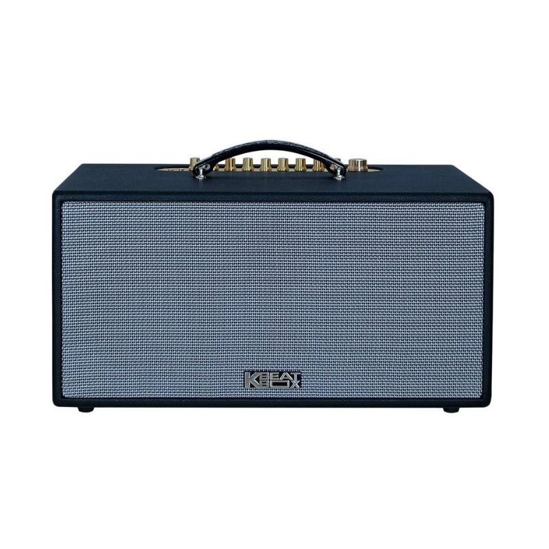 Dàn Âm Thanh Di Động Acnos CS445D Dàn Âm Thanh Di Động Acnos CS445D