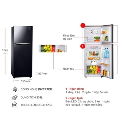 Tủ Lạnh 2 cánh Inverter 236 Lít Samsung TMF-RT22M4032BU 5 Kích thước tủ Lạnh 2 cánh Inverter 236 Lít Samsung TMF-RT22M4032BU