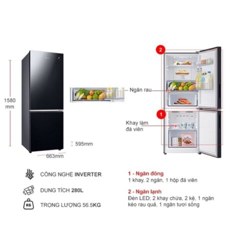Kích thước tủ Lạnh 2 cánh Inverter 280 Lít Samsung RB27N4010BU