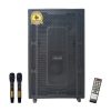 Loa Karaoke Di Động Microtek F-800A 1 Loa Karaoke Di Động Microtek F-800A