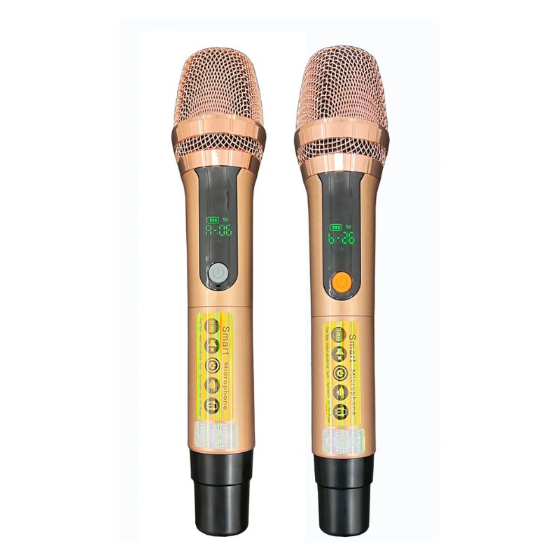 Micro Loa Xách Tay Bossinon N3379K Micro Loa Xách Tay Bossinon N3379K