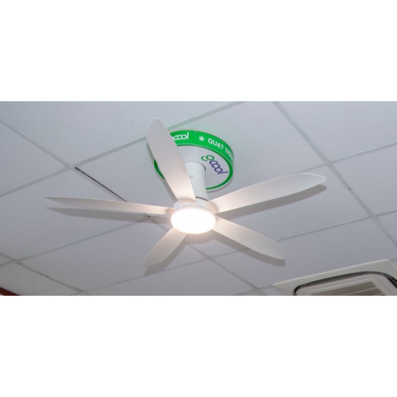 Ảnh thực tế quạt trần Gcool Copter 05 Plus RL VN011402516 Trắng Ảnh thực tế quạt trần Gcool Copter 05 Plus RL VN011402516 Trắng
