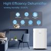 Máy hút ẩm Steiger STG - 820DW 2 Máy hút ẩm Steiger STG - 820DW