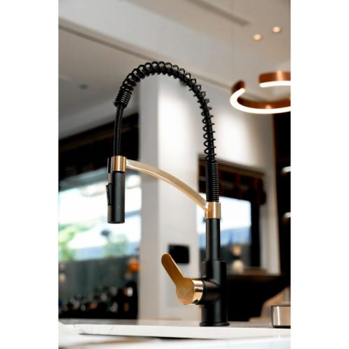 Vòi rửa bát Wasserwerk WK 3 black/matt gold, with spiral spring 700558 2 Ảnh vòi rửa bát Wasserwerk WK 3 black/matt gold, with spiral spring 700558