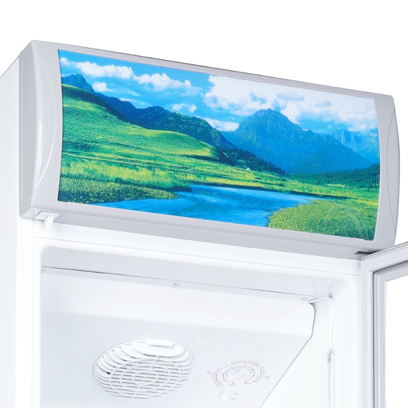 Ảnh Tủ mát Sanaky VH258KL Ảnh Tủ mát Sanaky VH258KL